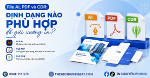 File AI, PDF, CDR