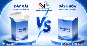 hộp đái gài và đáy khóa