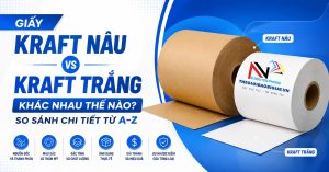 Kraft trắng và Kraft nâu