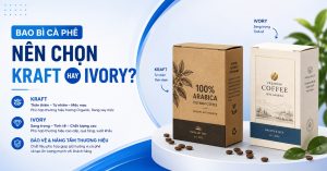 bao bì cà phê nên chọn kraft hay ivory