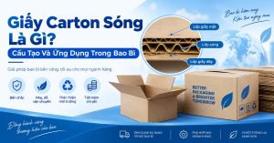 Giấy Carton Sóng Là Gì Cấu Tạo Và Ứng Dụng Trong Bao Bì