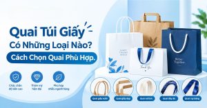 Quai Túi Giấy Có Những Loại Nào Cách Chọn Quai Phù Hợp
